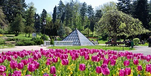 Turistička organizacija Vrnjačka Banja Rimski izvor